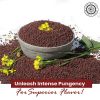 Pride of India | Black Mustard Seed 2.9 oz (82 gm) Small Dual Sifter Bottle | Gourmet & Vegan Indian Spice | Pungent/Spicy Flavor | Dry Seasoning | Gl